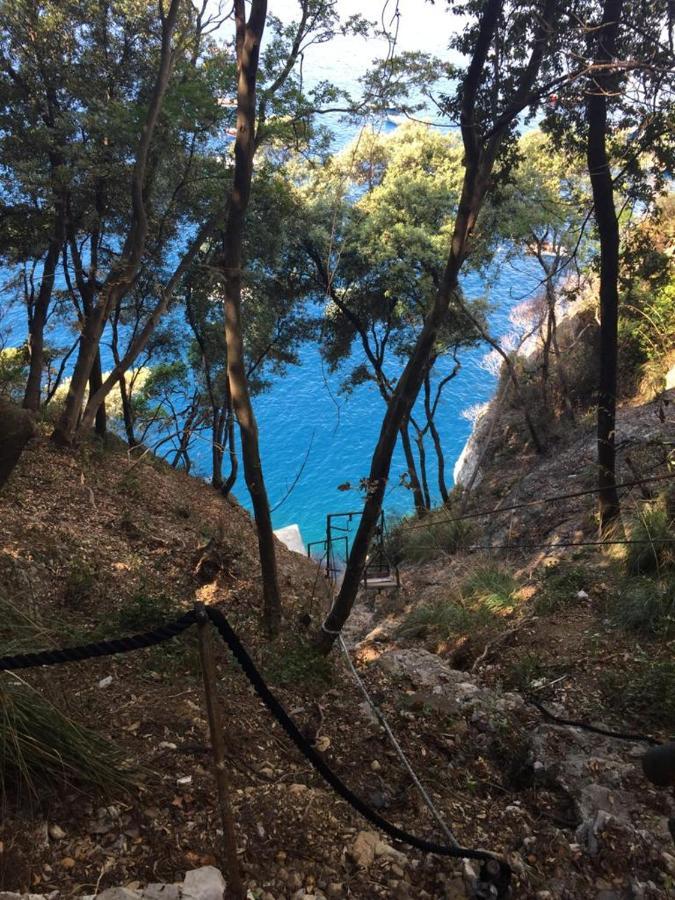 La Casa della Fiore Villa Camogli Esterno foto