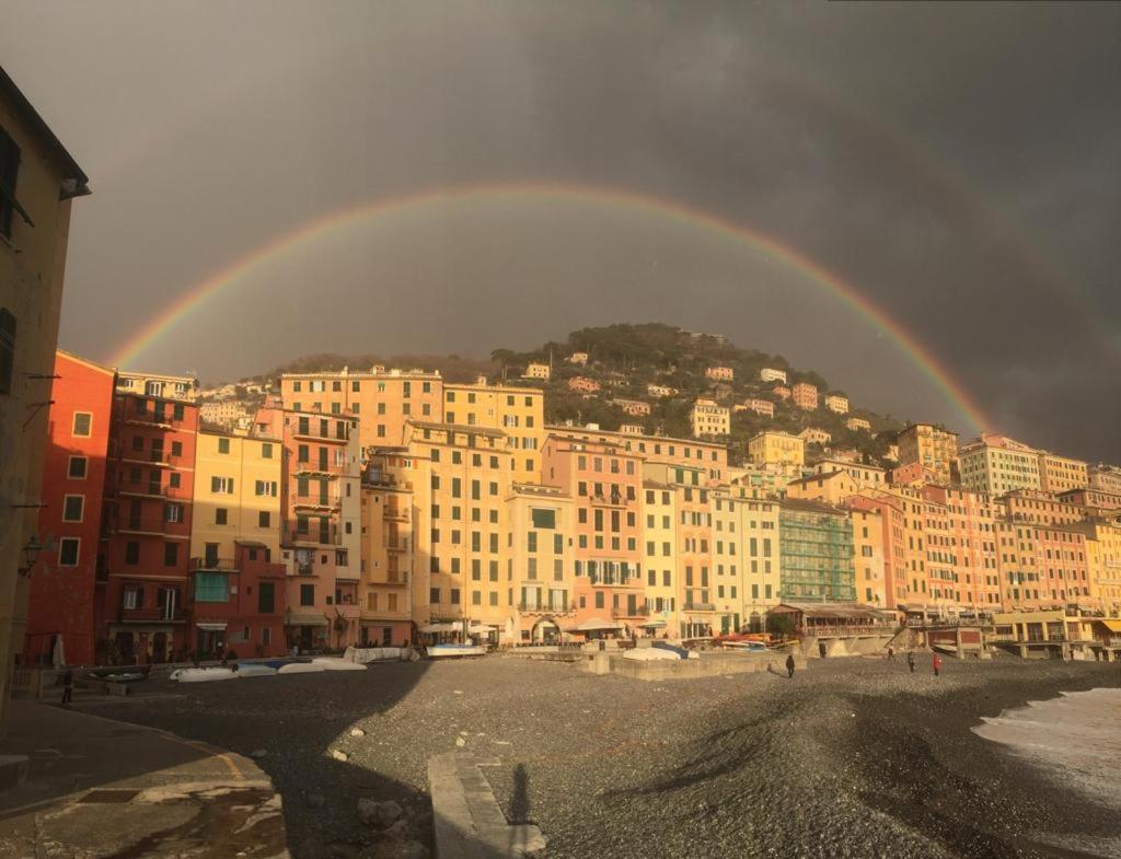 La Casa della Fiore Villa Camogli Esterno foto